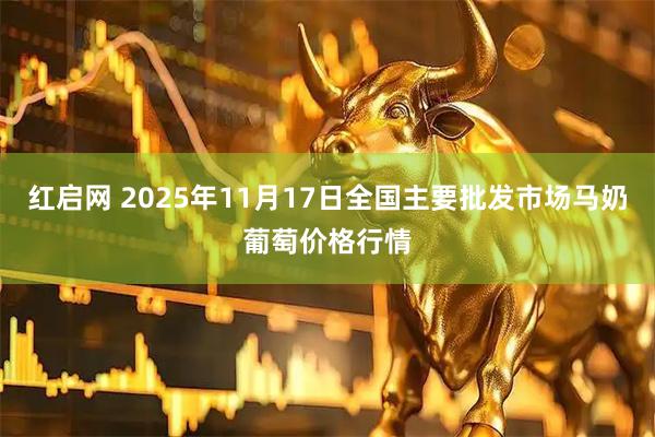 红启网 2025年11月17日全国主要批发市场马奶葡萄价格行情
