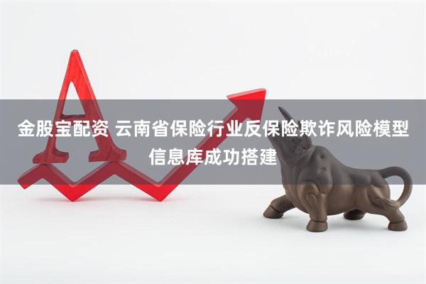 金股宝配资 云南省保险行业反保险欺诈风险模型信息库成功搭建