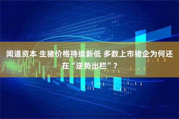 闻道资本 生猪价格持续新低 多数上市猪企为何还在“逆势出栏”？